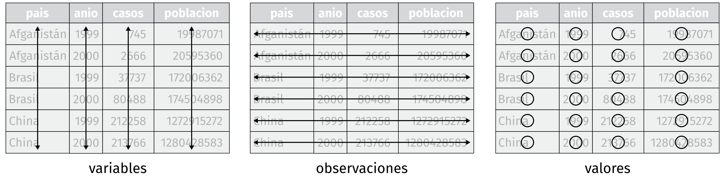 *Representación de la estructura de datos ordenados (tidy data).*