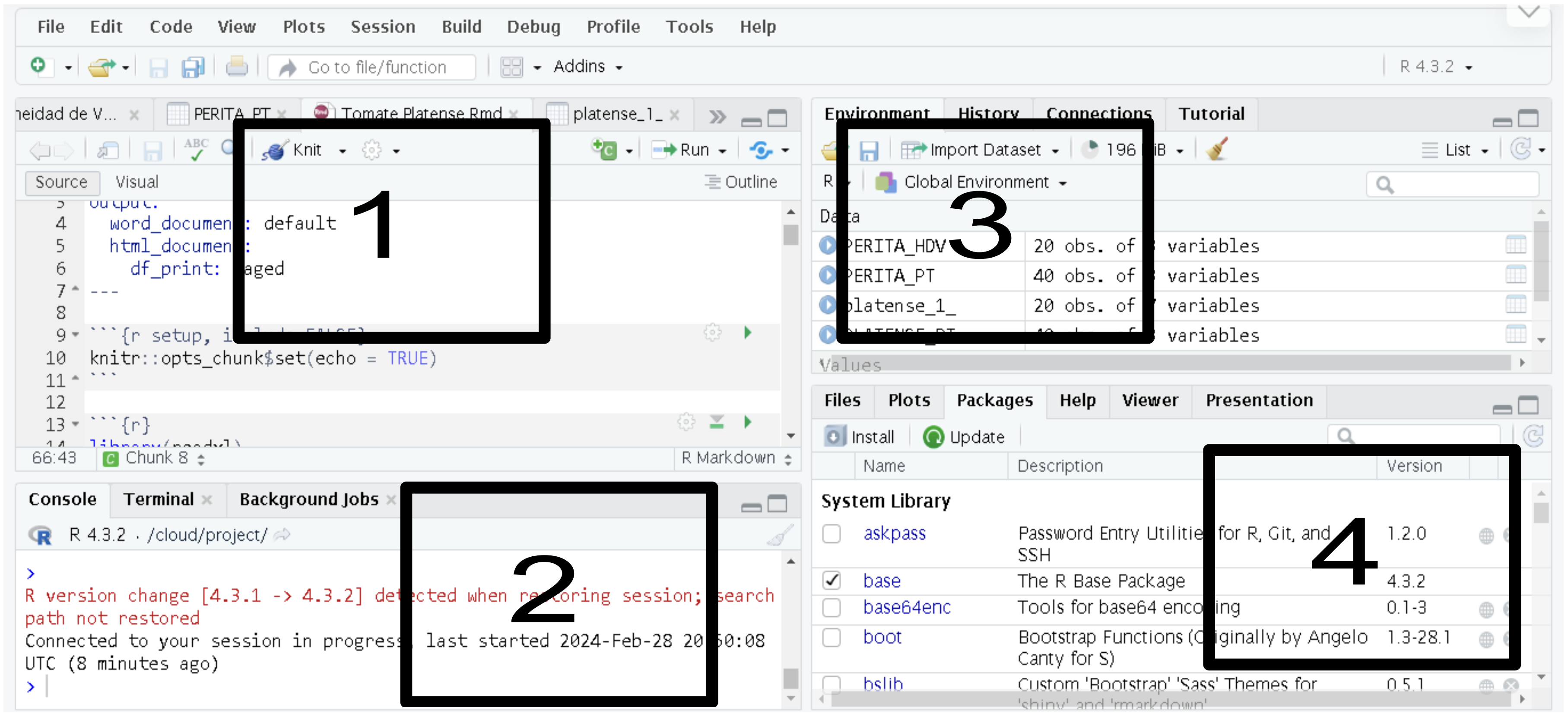 *Paneles principales de la interfaz de RStudio.*